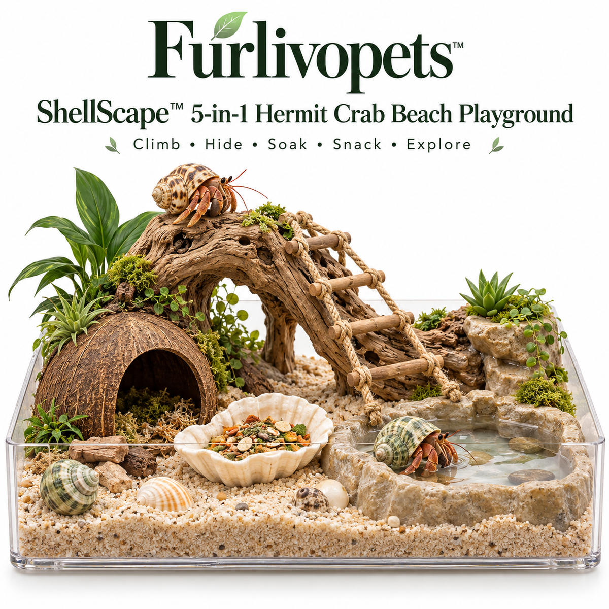 Furlivopets™ ShellScape™ 5-in-1 Hermit Crab Beach Playground – Climbing, Hiding, Soaking, Feeding & Digging Enrichment Habitat for Hermit Crabs
