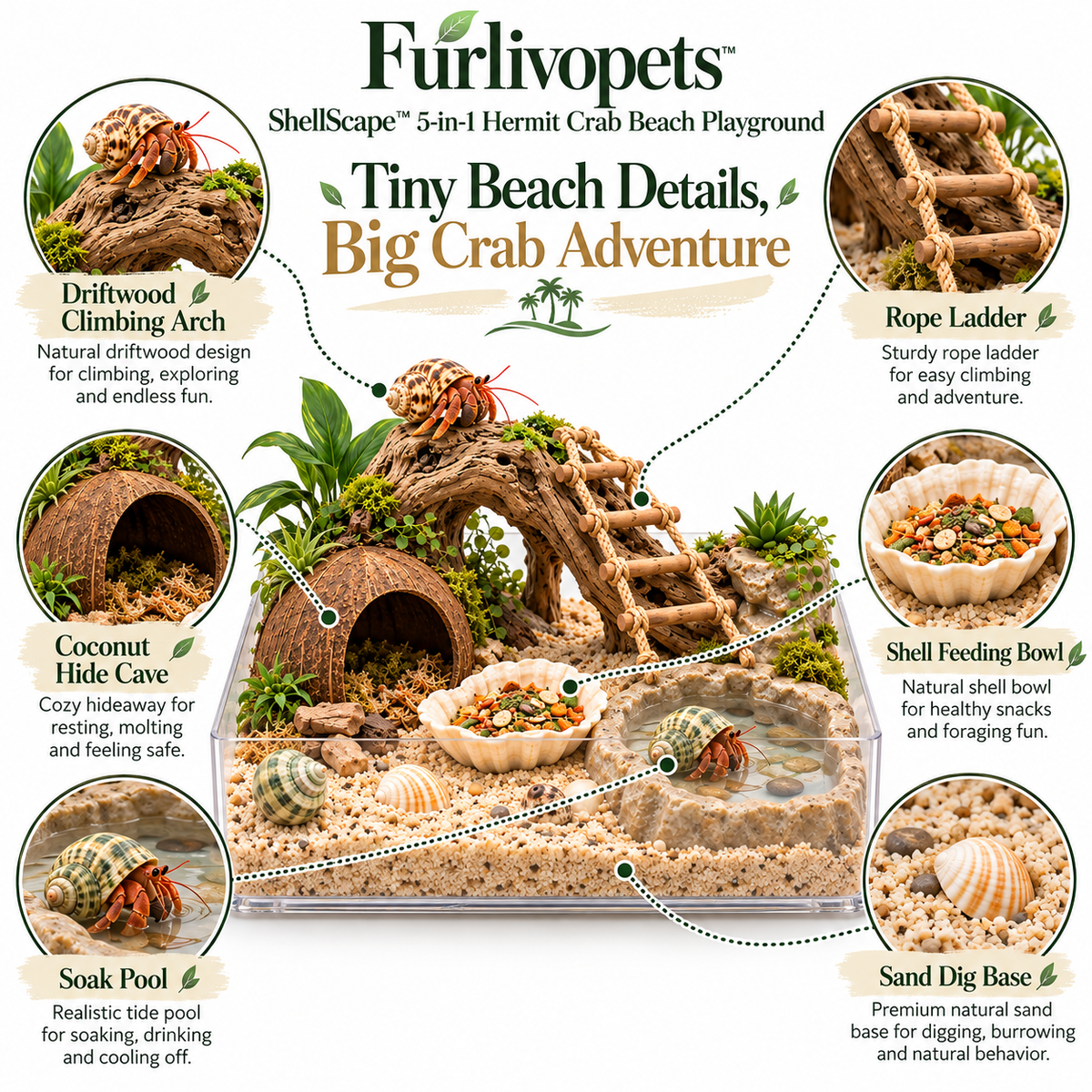 Furlivopets™ ShellScape™ 5-in-1 Hermit Crab Beach Playground – Climbing, Hiding, Soaking, Feeding & Digging Enrichment Habitat for Hermit Crabs