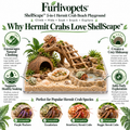 Furlivopets™ ShellScape™ 5-in-1 Hermit Crab Beach Playground – Climbing, Hiding, Soaking, Feeding & Digging Enrichment Habitat for Hermit Crabs