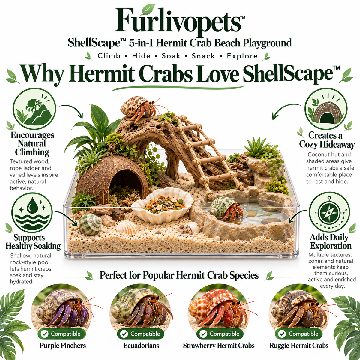 Furlivopets™ ShellScape™ 5-in-1 Hermit Crab Beach Playground – Climbing, Hiding, Soaking, Feeding & Digging Enrichment Habitat for Hermit Crabs