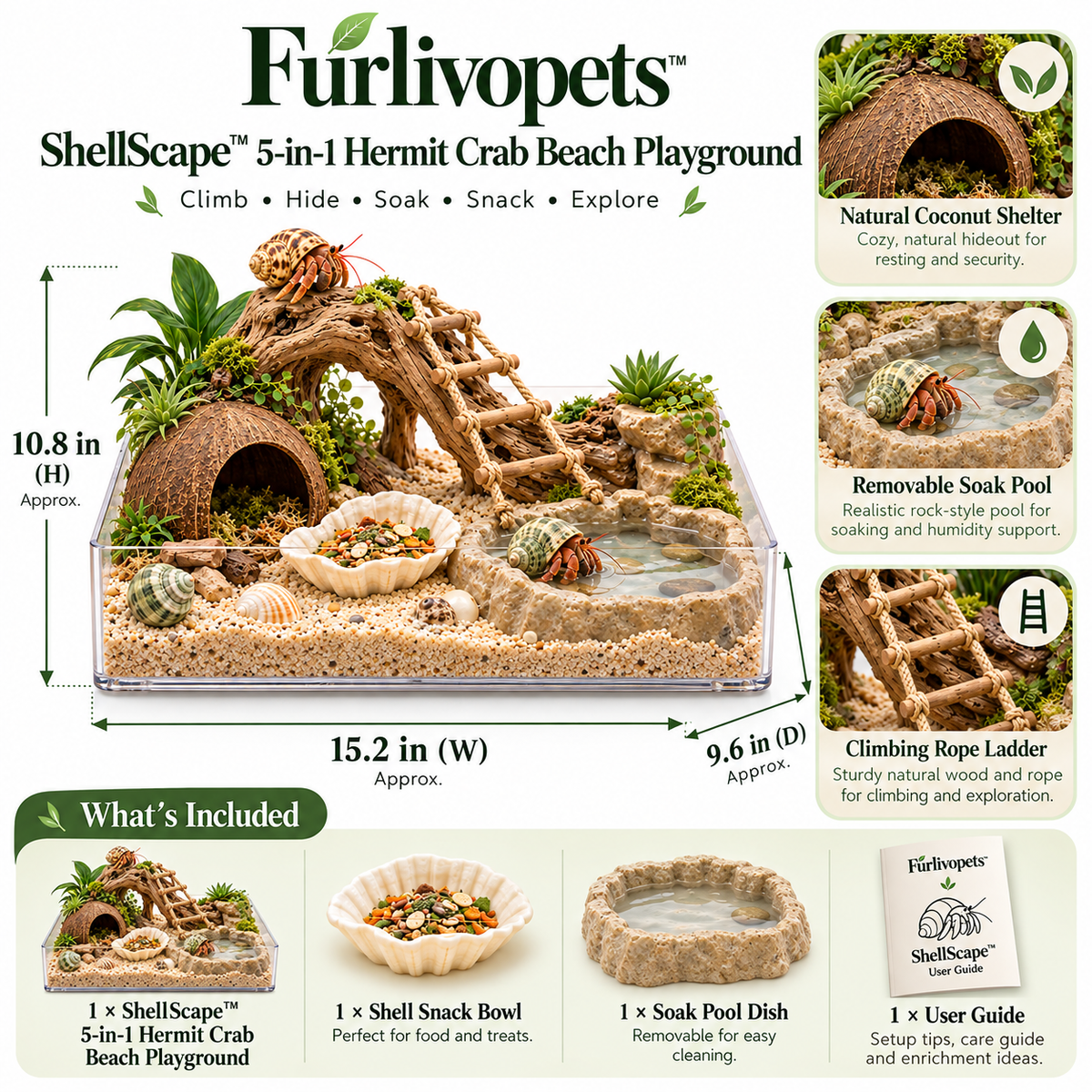 Furlivopets™ ShellScape™ 5-in-1 Hermit Crab Beach Playground – Climbing, Hiding, Soaking, Feeding & Digging Enrichment Habitat for Hermit Crabs
