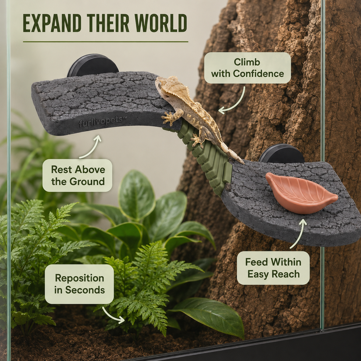 Furlivopets™ Canopy Trail Magnetic Reptile Climbing Ledge