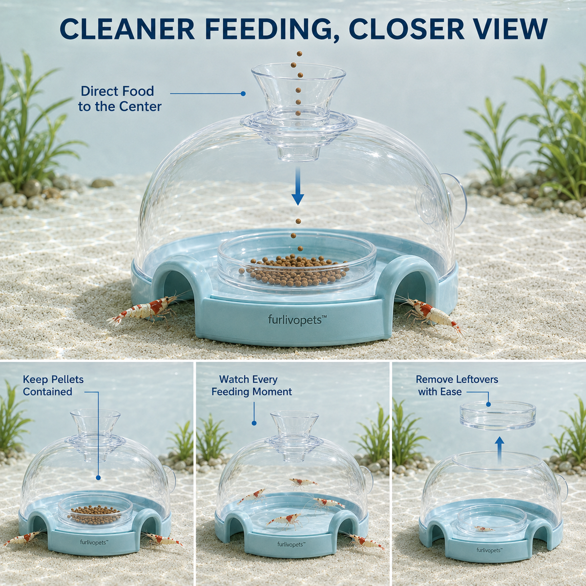 Furlivopets™ AquaView Shrimp Feeding Observatory